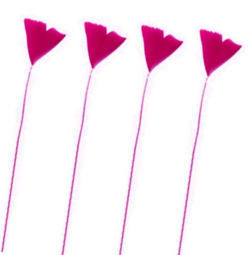 Dark Pink Stripped Turkey Feathers x 6