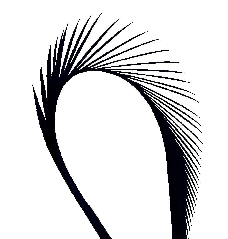 Black Goose Biot Feather