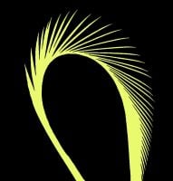 Fluorescent Yellow Goose Biot Feather 