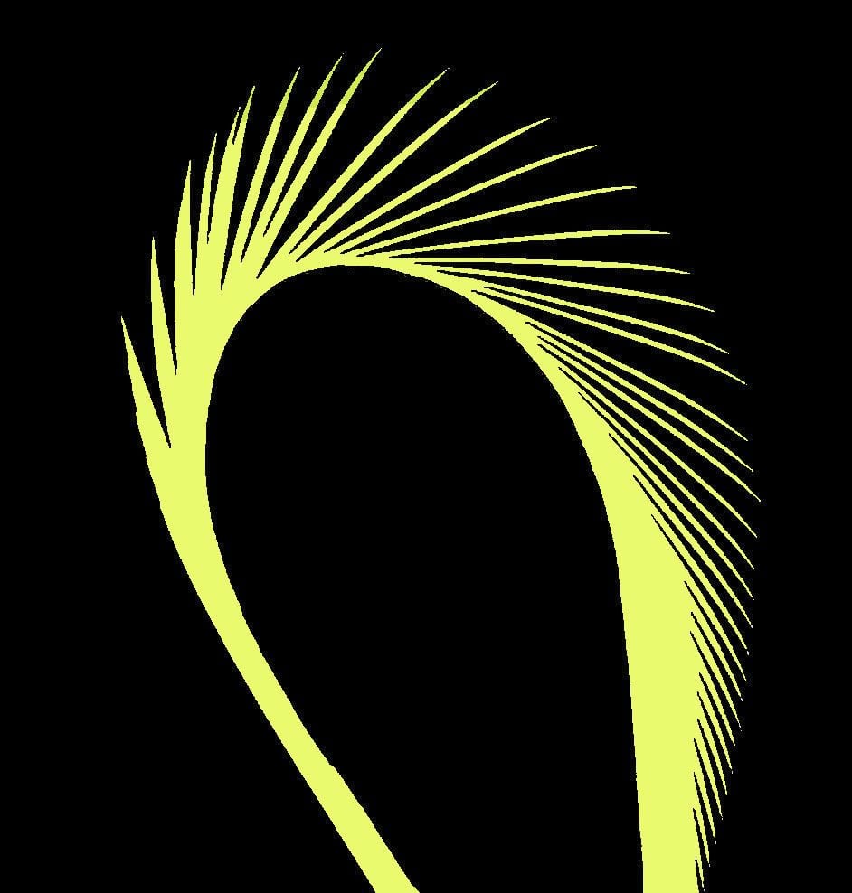 Flourescent Yellow Goose Biot Feather 