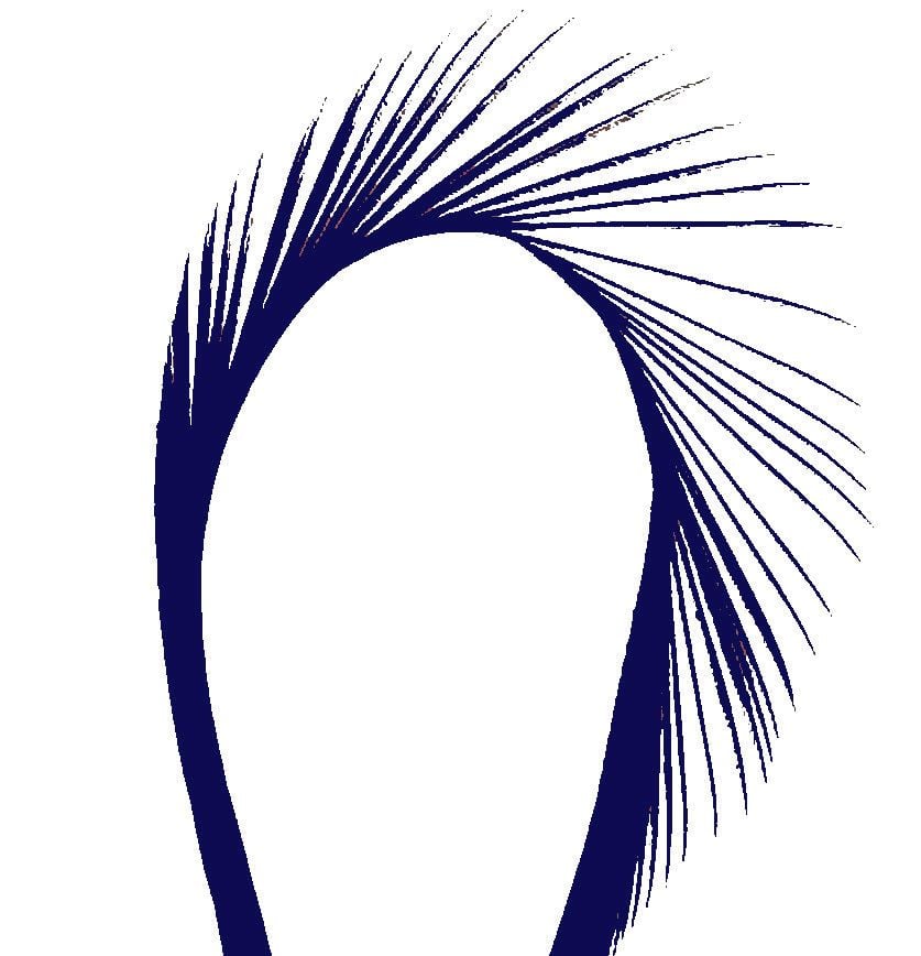 Sapphire Blue Goose Biot Feather 
