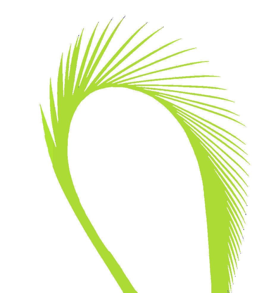 Lime Green Goose Biot Feather