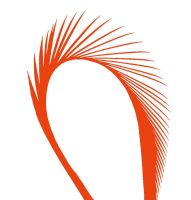 Orange Goose Biot Feather