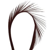 Brown Goose Biot Feather