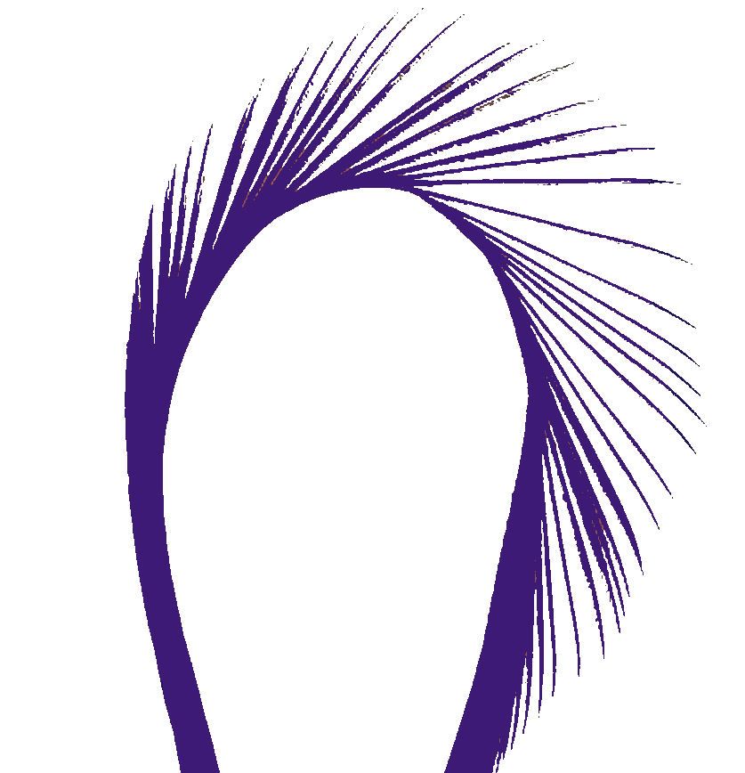 Purple Goose Biot Feather
