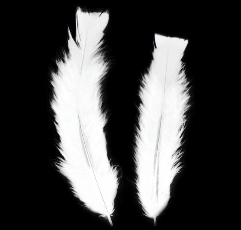 White Turkey Feathers Flats
