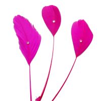 Dark Pink Stripped Coque Feathers With Rhinestone Gems