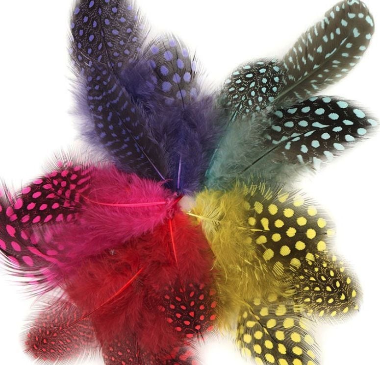 Guinea Fowl Feathers (Spotty) Day Glo Mix