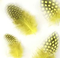 Fluorescent Yellow Guinea Fowl Feathers (Spotty) x 30