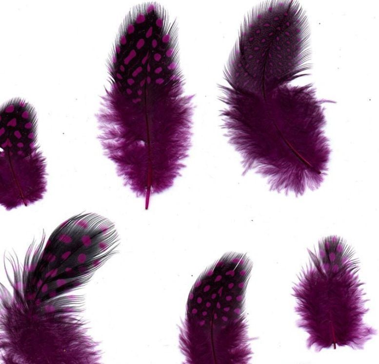 Very Berry Pink Guinea Fowl Feathers (Spotty) x 30