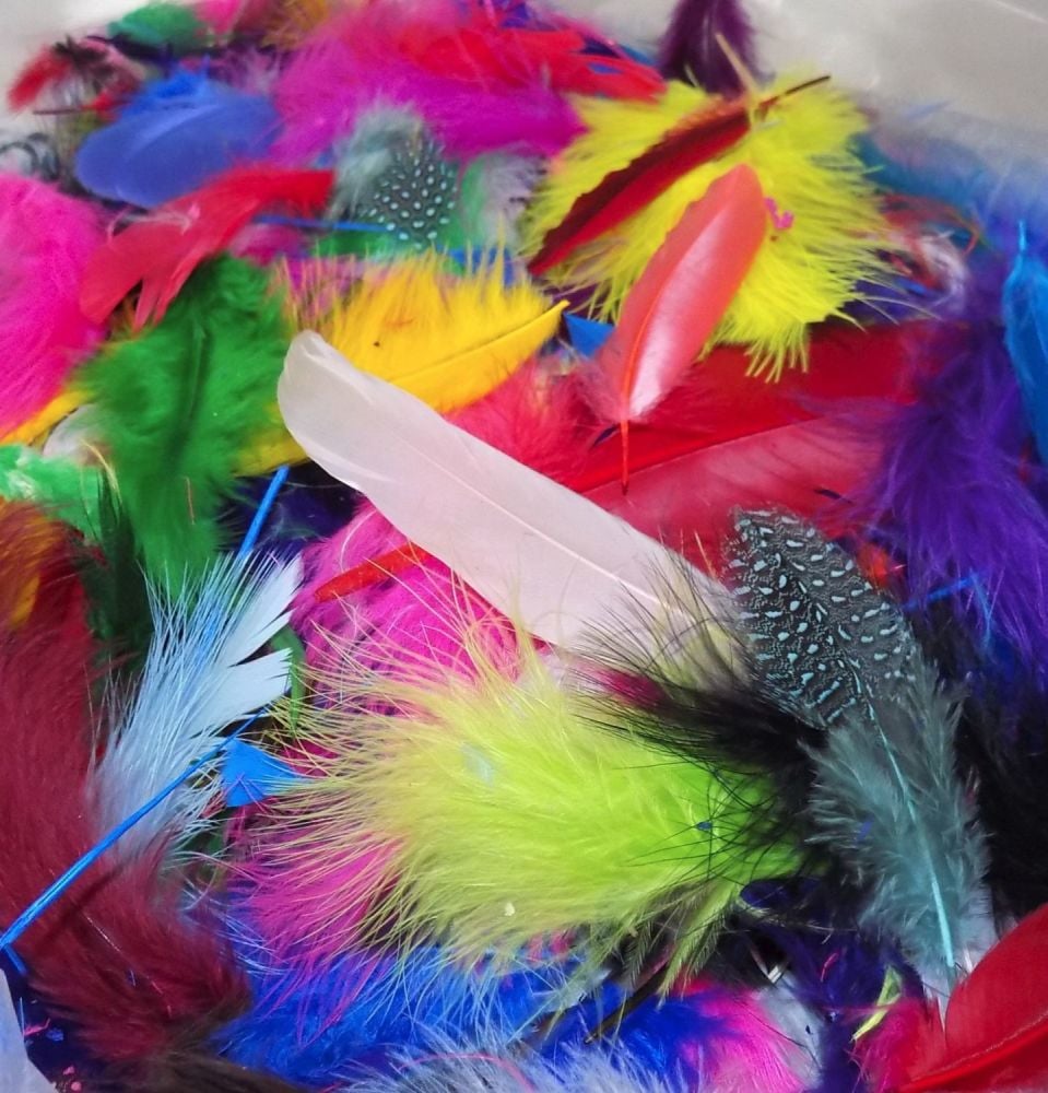 Crafting Feathers Assorted Shades and Styles