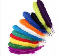 Turkey Quill Pointer Feather, Choose Your Shade