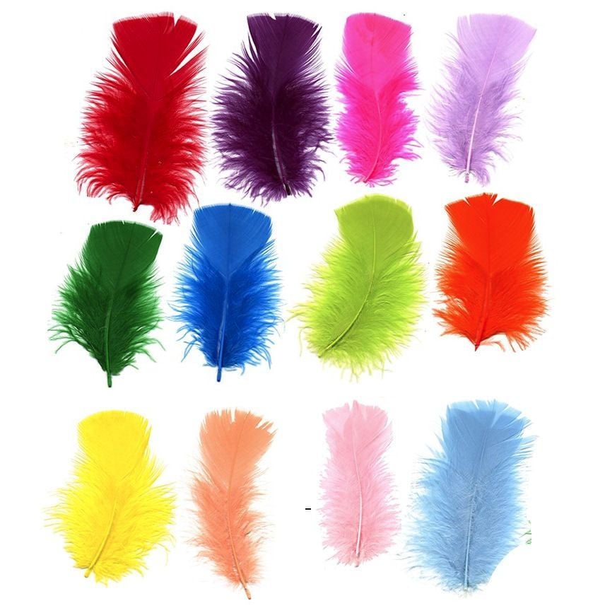 Turkey Coquille Feathers - Assorted Pack