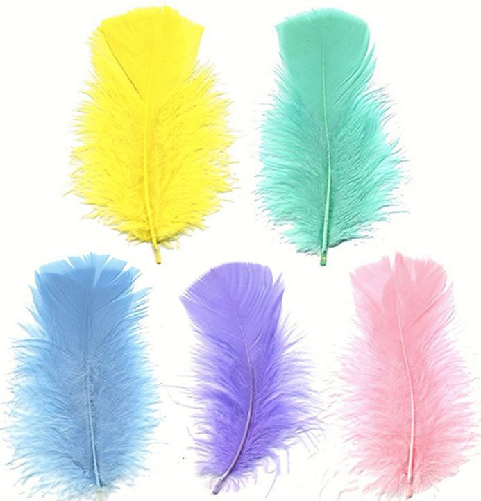Turkey Coquille Feathers - Pastel Shades