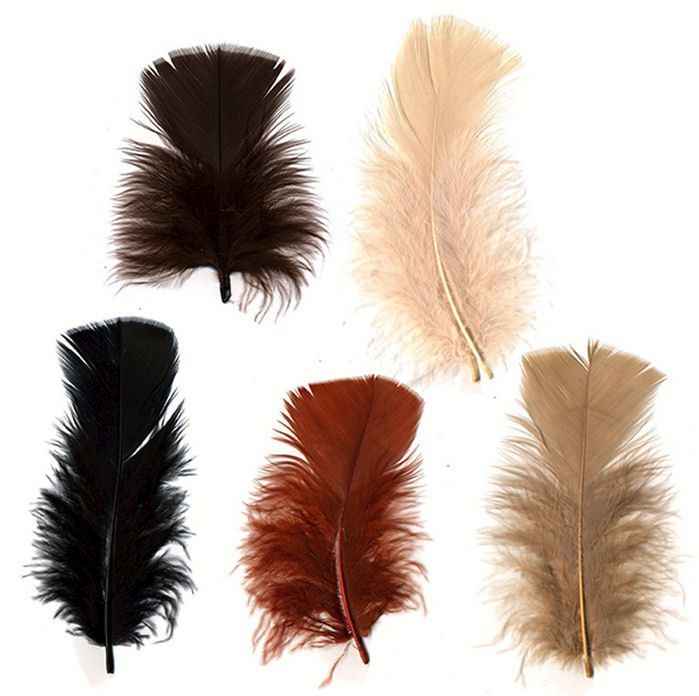 Turkey Coquille Feathers - Autumn Shades