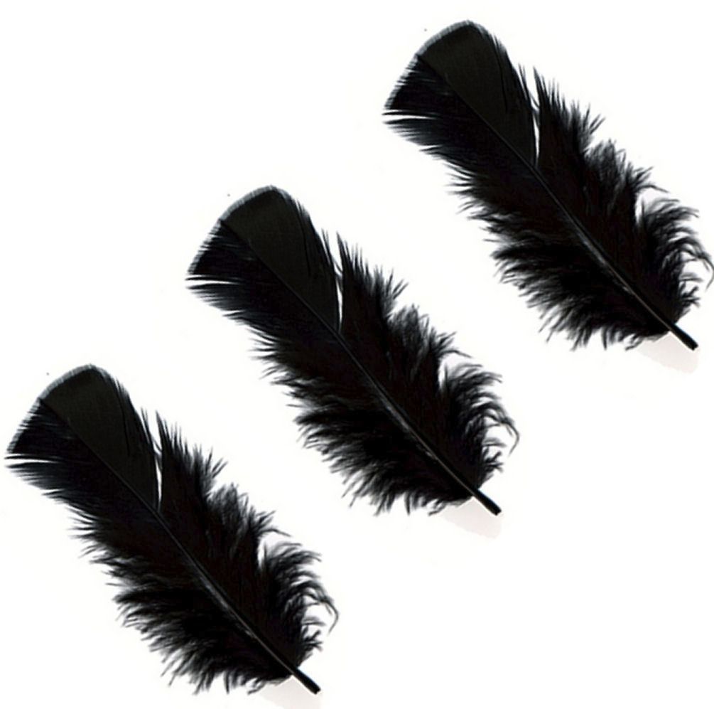 Black Fluffy Turkey Plumage Coquille Feathers 