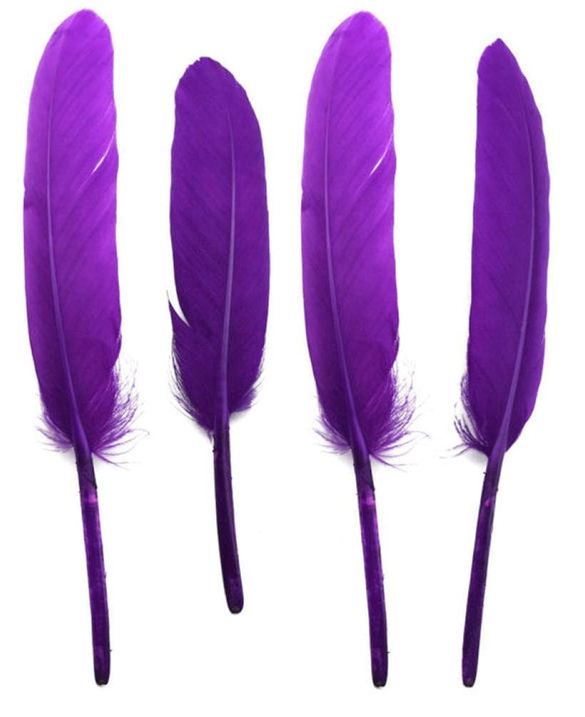 Dark Lilac Goose Quill Feathers x 10