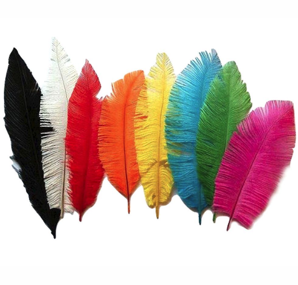 Ostrich Feather Trimmed - Assorted Shades Available