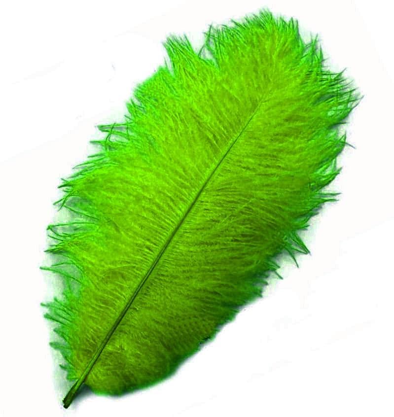 Fern Green Ostrich Feather