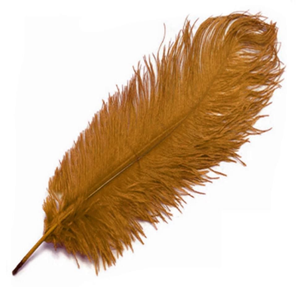 Gold Ostrich Feather