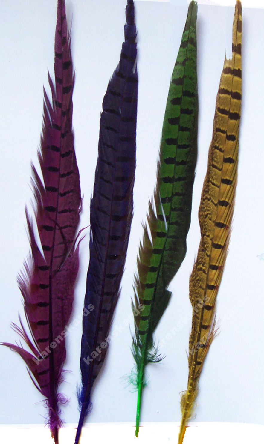 Dyed Ringneck Pheasant Tail Feather (12 inch) Seconds