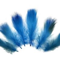 Deep Turquoise Duck Speckled Flank Feathers x 10