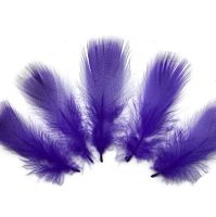 Purple Duck Speckled Flank Feathers x 10