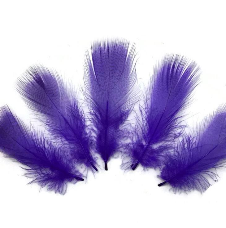 Purple feathers for arts and crafts
