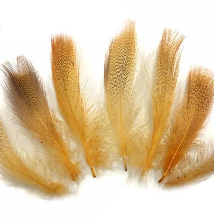 Golden Yellow Speckled Flank Feathers x 10