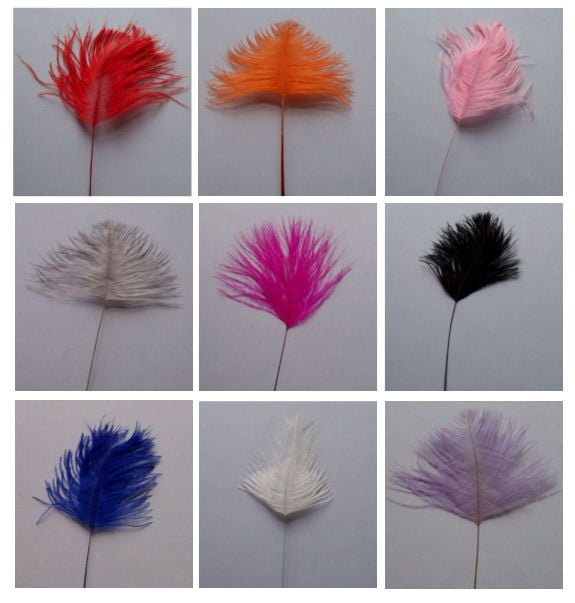 Stripped Ostrich Feather in Assorted Shades