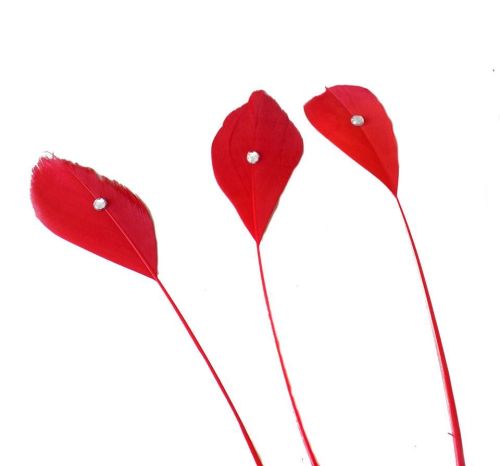 Red Stripped Coque Feathers With Rhinestone Gems