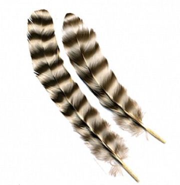 Decorative Feathers, Chinchilla Rounds Rooster Feathers x 10 