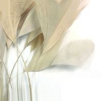 Ivory Cream Stripped Coque Tail Rooster Feathers x 6