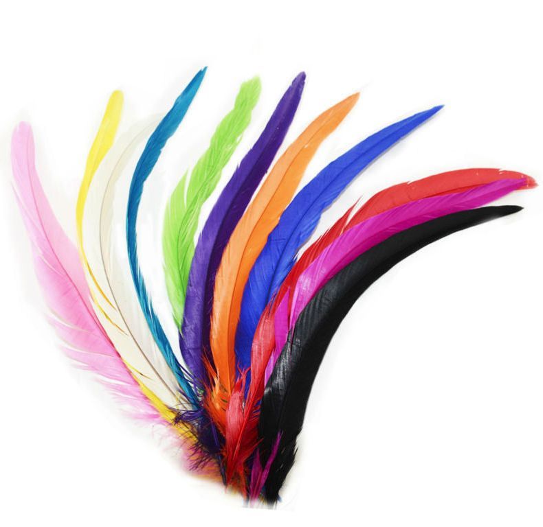Rooster Coque Tail Feather 12 inches