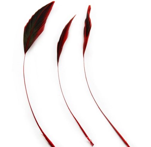 Red Natural Half Bronze Two Tone Stripped Feathers x 6