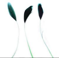 Dark Turquoise Half Bronze Two Tone Stripped Feathers x 3