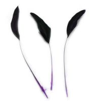 Purple Half Bronze Two Tone Stripped Feathers x 3