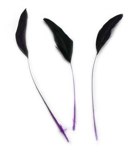 Purple Natural Half Bronze Two Tone Stripped Feathers x 6