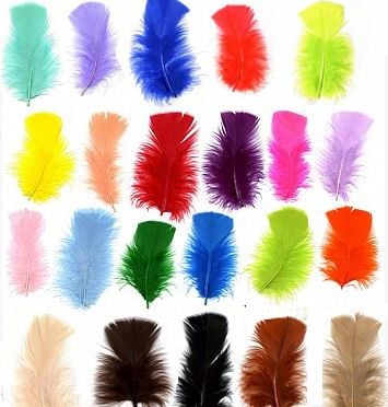 Turkey Coquille Feathers, Choice of individual shades