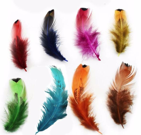 Hen Feathers - Rare Decorative Plumes x 10