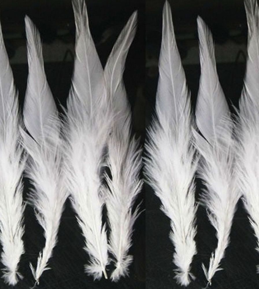 White Rooster Saddle Feathers x 10