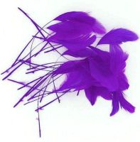Purple Trimmed Rooster Coque Tail Feathers - Clearout