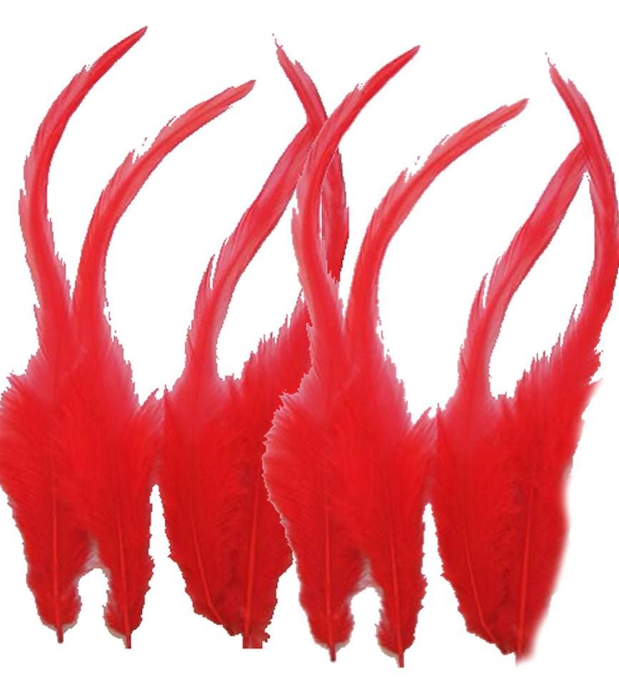 Red Rooster Saddle Feathers x 10