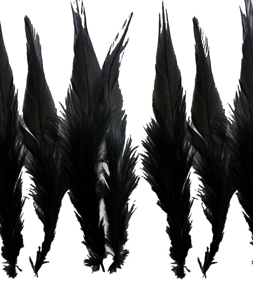 Black Rooster Saddle Feathers x 10