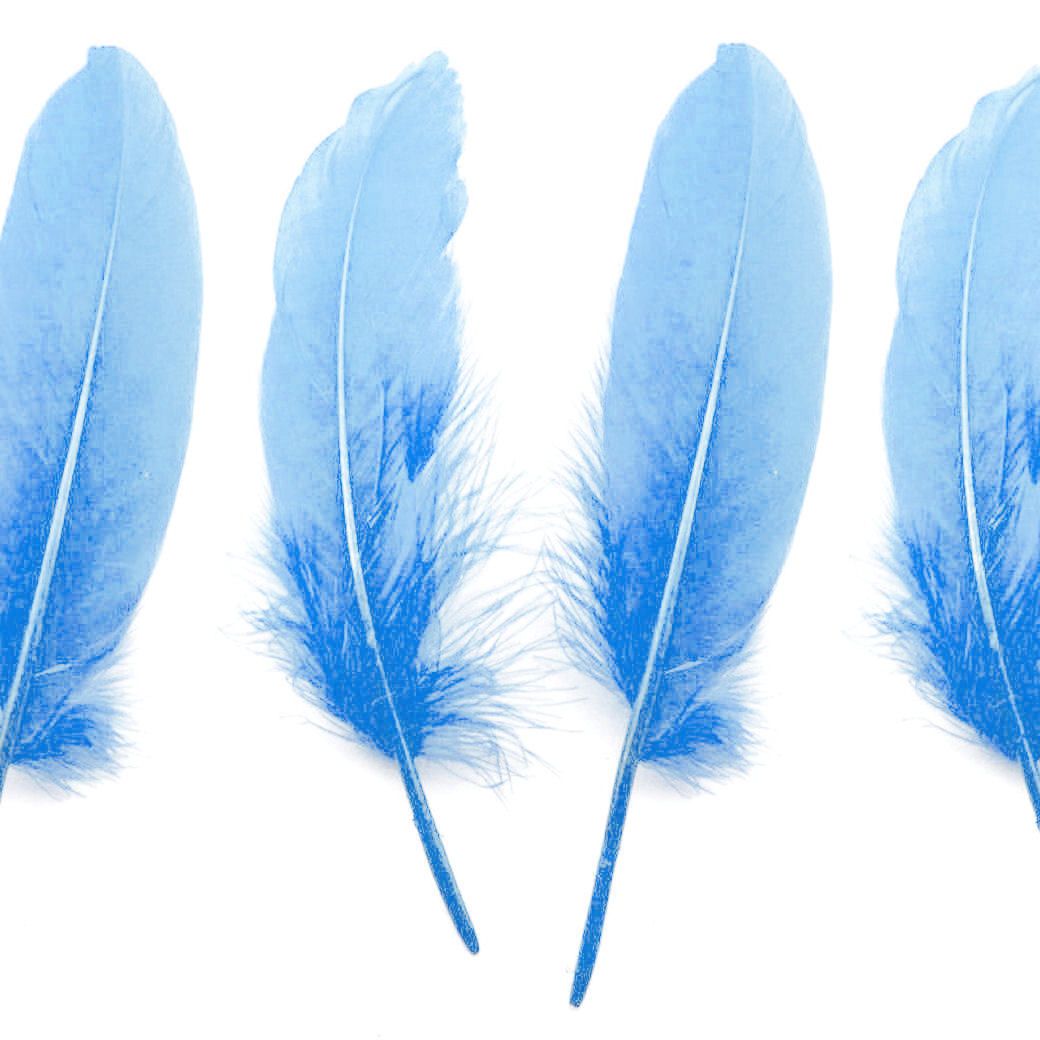 Pale Blue Goose Quill Feathers x 4 