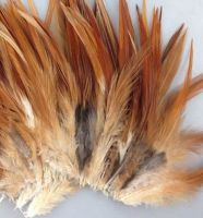 Natural Rooster Saddle Feathers x 10