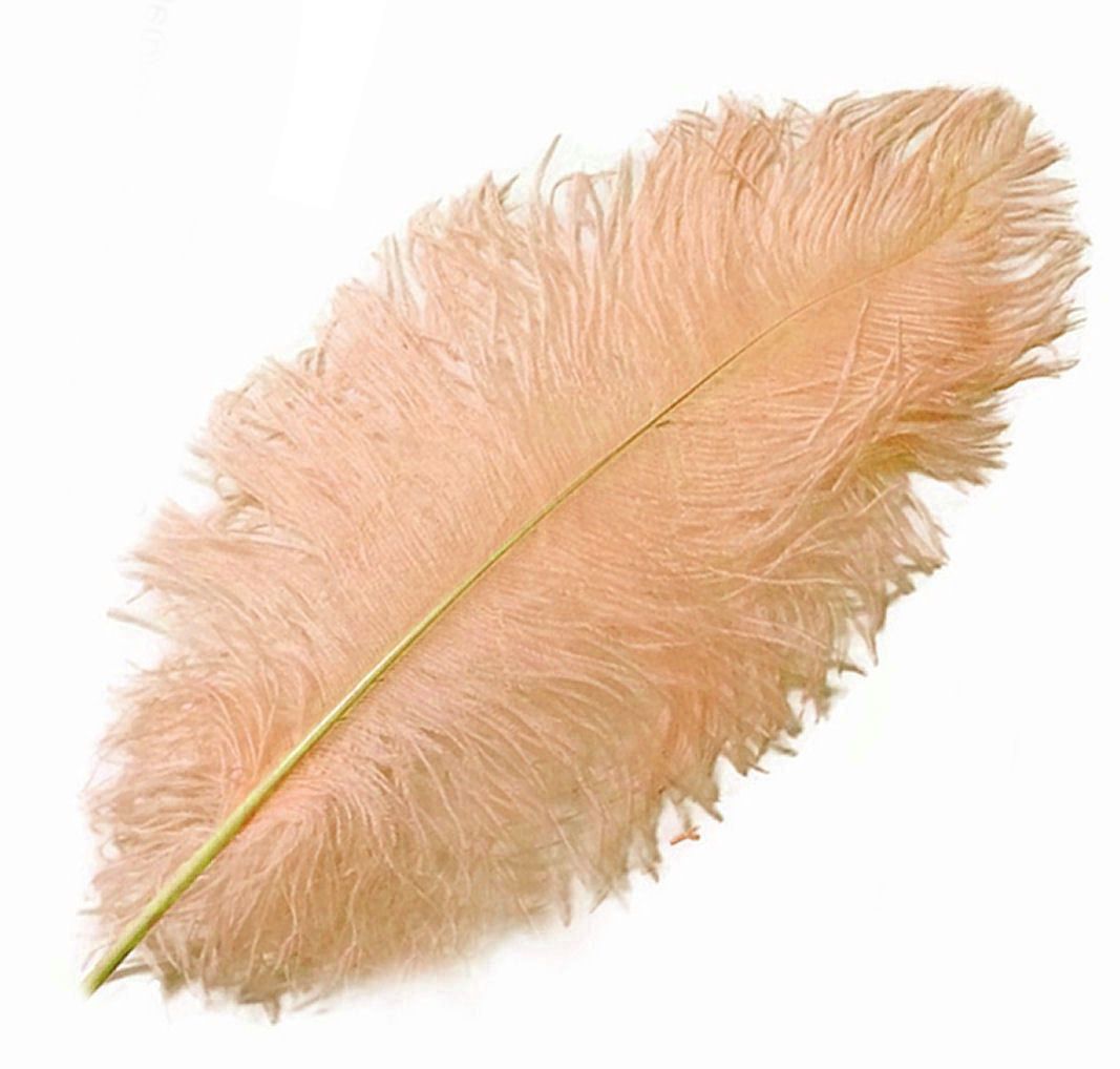 Pink Champagne Ostrich Feather
