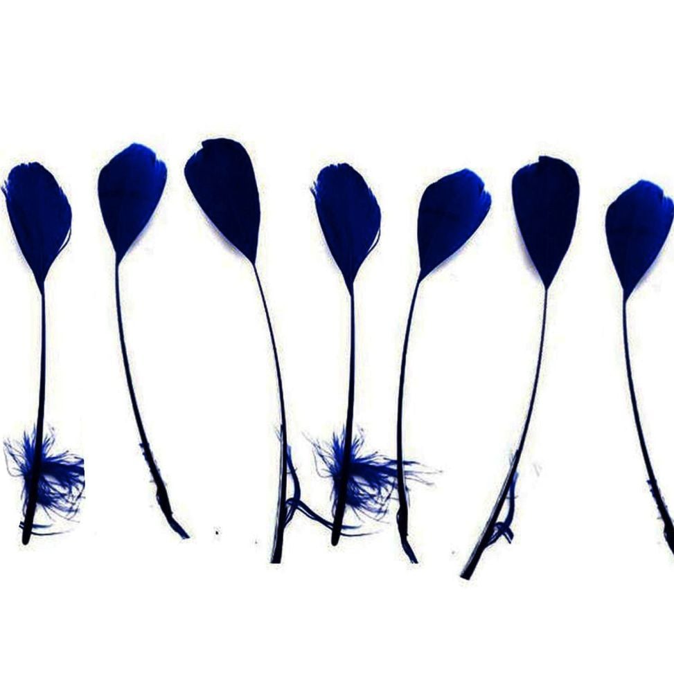 Navy Blue Stripped Coque Tail Rooster Feathers x 10