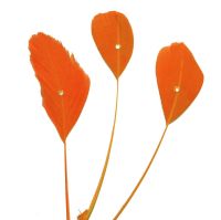 Orange Stripped Coque Feathers With Rhinestone Gems