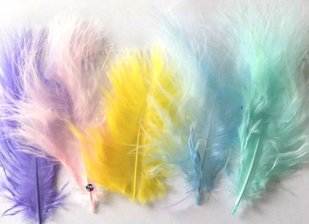 Small Feathers for sale